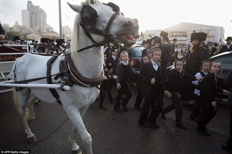 Netanya siluetiga taustal paraadivad juudi lapsed kõrvuti pruudi hobuse ja vankriga
