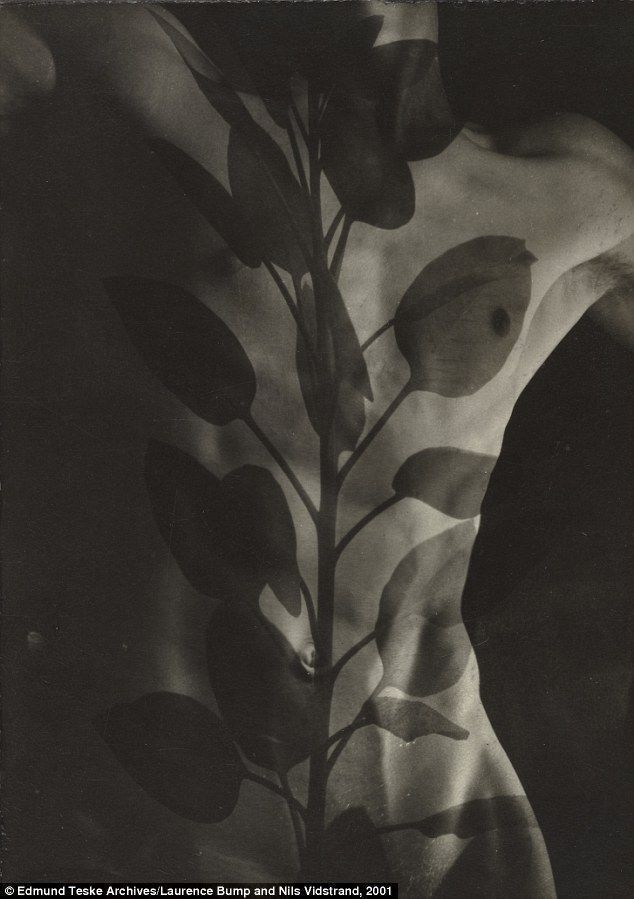 복잡함: Edmund Teske는 1941년 Iowa주 Davenport라는 긴 이름의 Nude, Composite with Leaves를 만들었습니다.