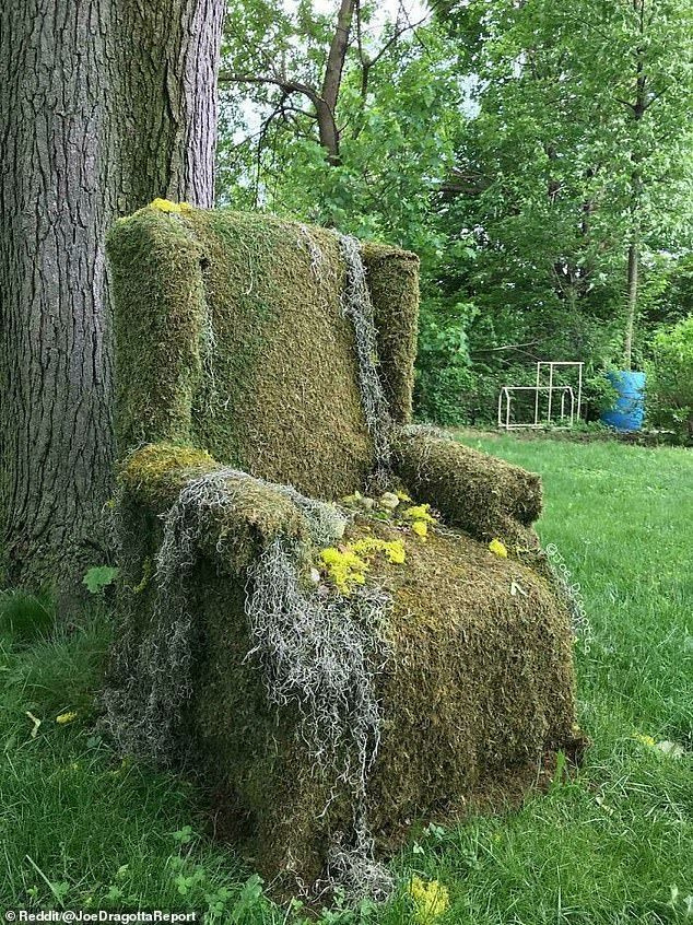 자연을 계승하는 예술을 완벽하게 모방한 이 이끼 낀 의자는 이웃에서 발견한 미국인 남성에 의해 발견되었습니다.