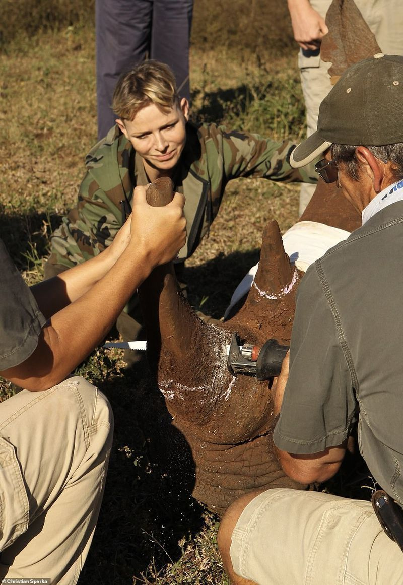 Sur le terrain : des photos de la princesse Charlene avec les animaux et les rangers ont été partagées en ligne