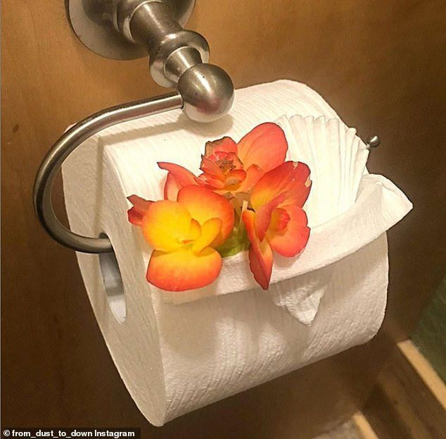 Inimesed kogu maailmast, kes on koronaviiruse pandeemia ajal lukustatud, on ülemaailmse puuduse tõttu jaganud oma tualettpaberiga tehtud loomingulisi kujundusi. Uhke USA kasutaja Dawn Renae näitas disaini, mis mahutab isegi lilli