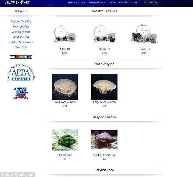 Jelly shop: Jellyfish Art는 전문 수조와 그 안에 들어갈 달빛 해파리, 깨끗한 달팽이와 소라게를 판매합니다.