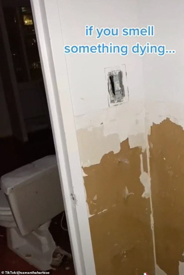 발견: 그녀는 구멍이 뚫린 벽장, 바닥 한가운데에 있는 오래된 화장실, 여러 개의 쓰레기 봉투가 있는 방 하나를 촬영합니다.