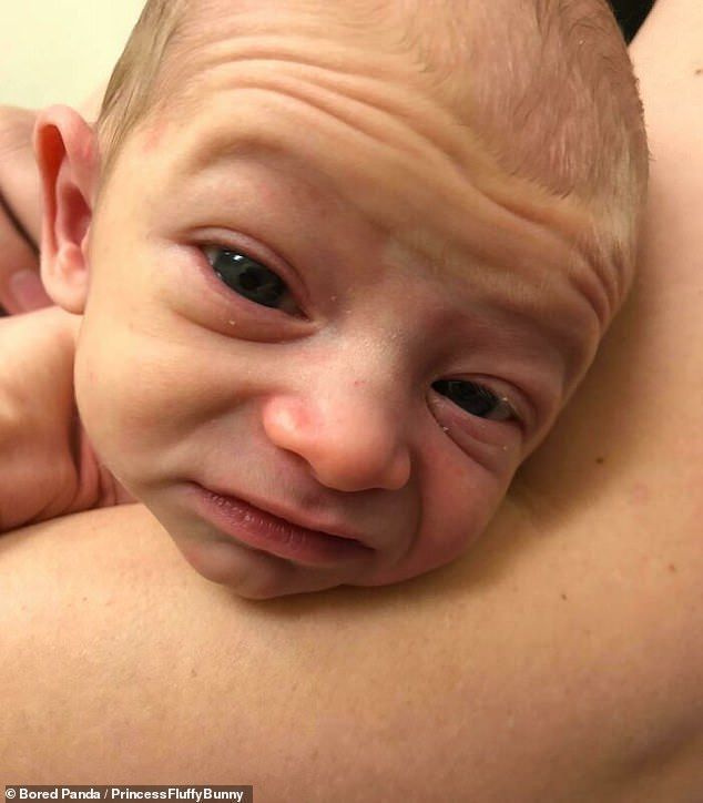 미국에서 온 이 아기는 갓 태어난 아기라고 하기에는 너무 현명해 보였습니다. 이 사진들은 브래드 피트 주연의 영화 벤자민 버튼의 기묘한 사건의 사람들을 연상케 합니다.