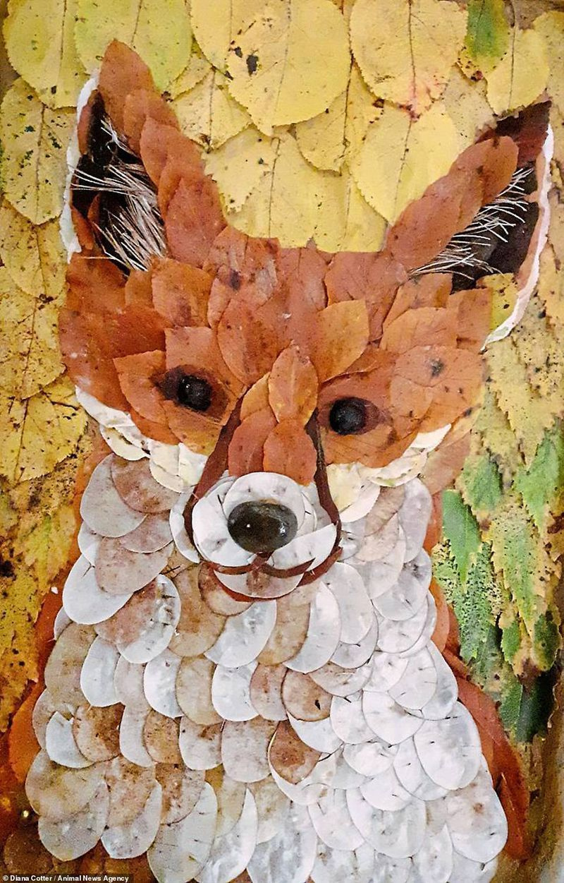 Foxy Gladey: 가을 숲에서 코에 조약돌을 자랑하는 활기찬 암 여우