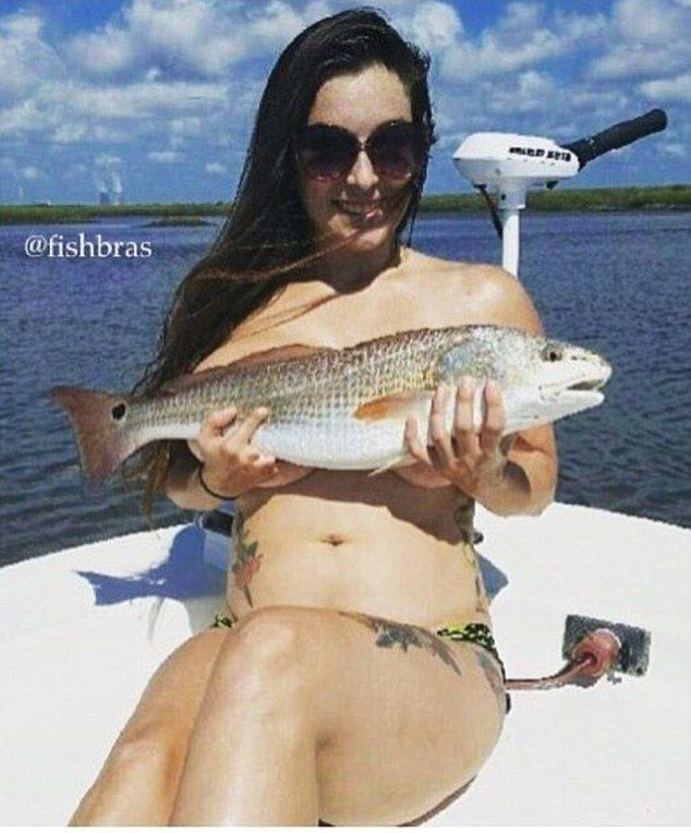 #fishbra 해시태그와 함께 수천 장의 이미지가 Instagram에 게시되었습니다.